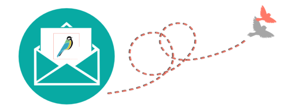 20210605_grafik_newsletter